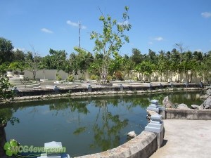 1328595086212022282_574_574