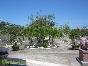 1328595088963446087_574_574