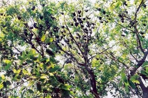 13286727191671530781_574_574