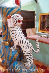 13286777921253524391_574_574